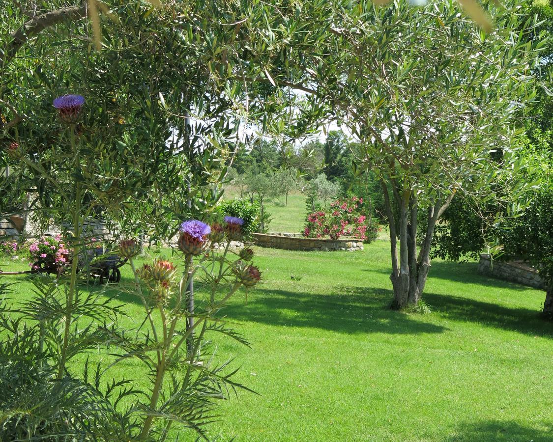 Fonte Magia Bed and Breakfast Castel de' Fiori Exterior foto