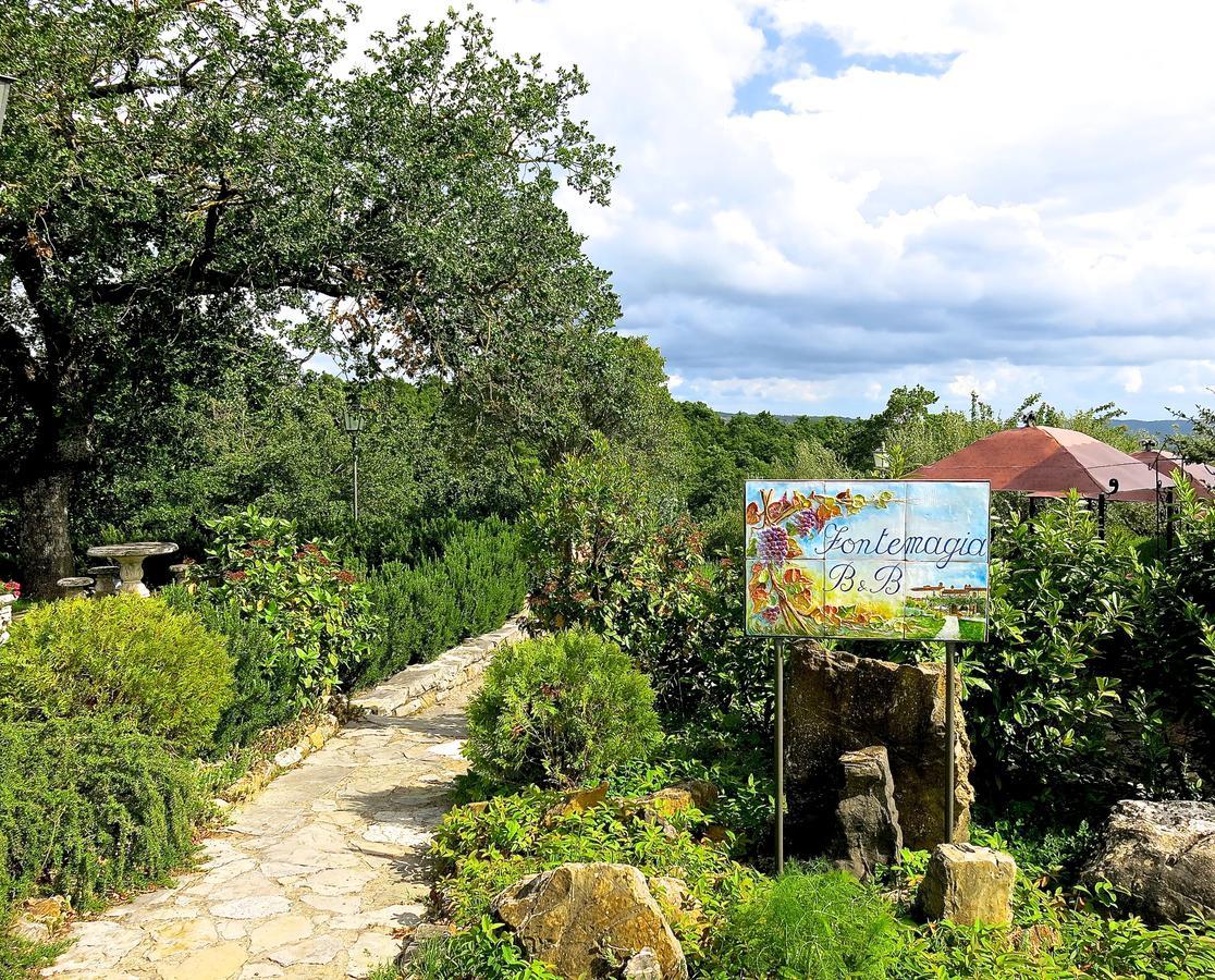 Fonte Magia Bed and Breakfast Castel de' Fiori Exterior foto