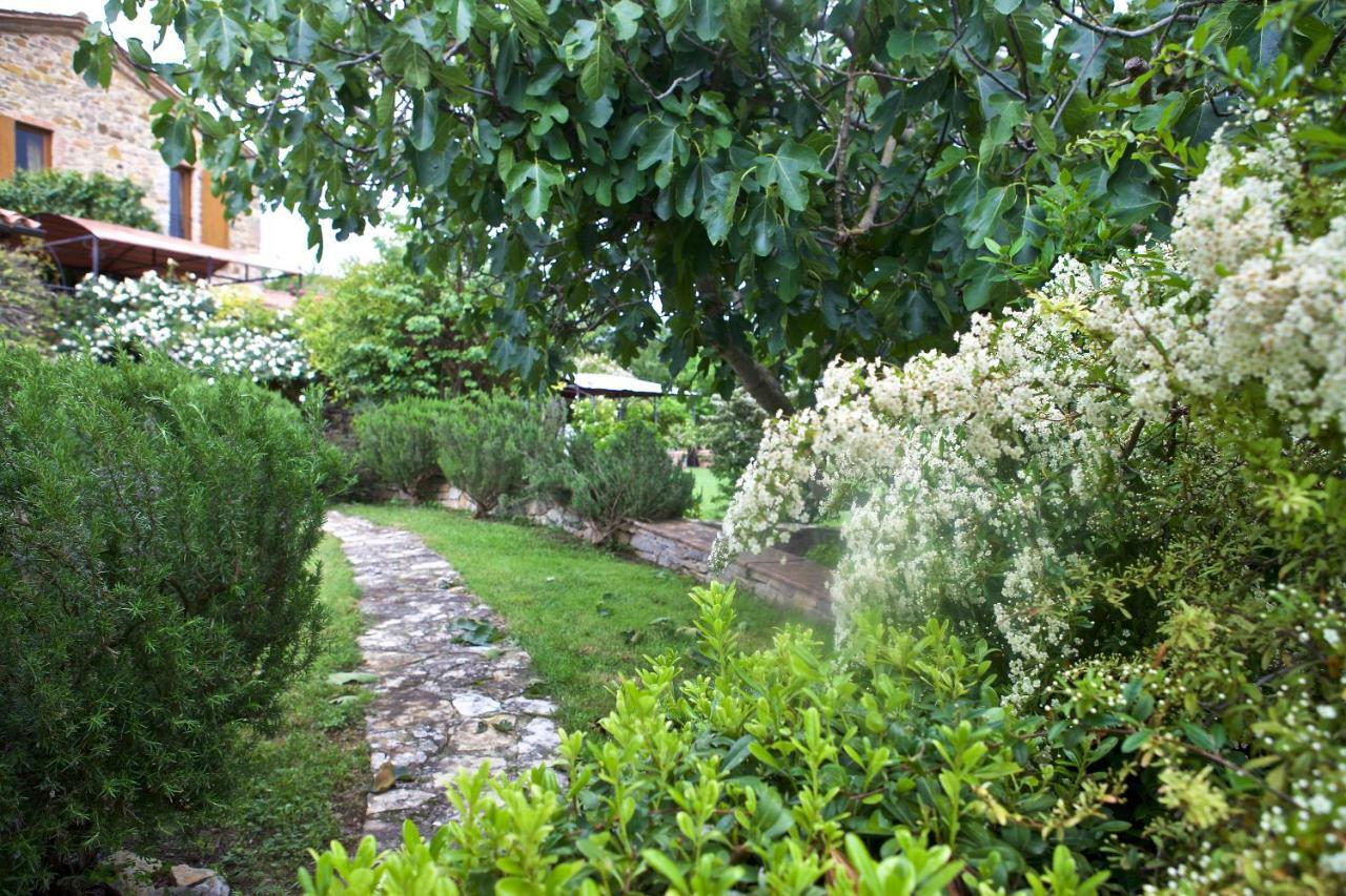 Fonte Magia Bed and Breakfast Castel de' Fiori Exterior foto